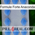Anaconda Strong Formula 21